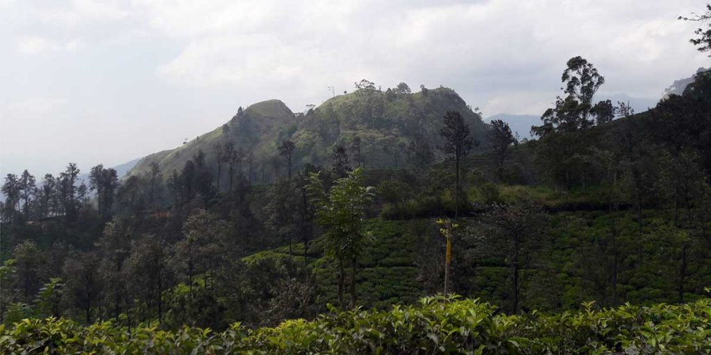 little-adams-peak