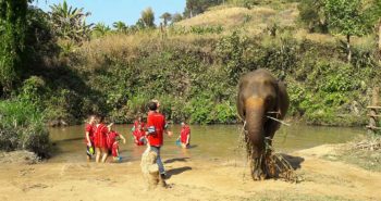 elefantencamps-in-thailand