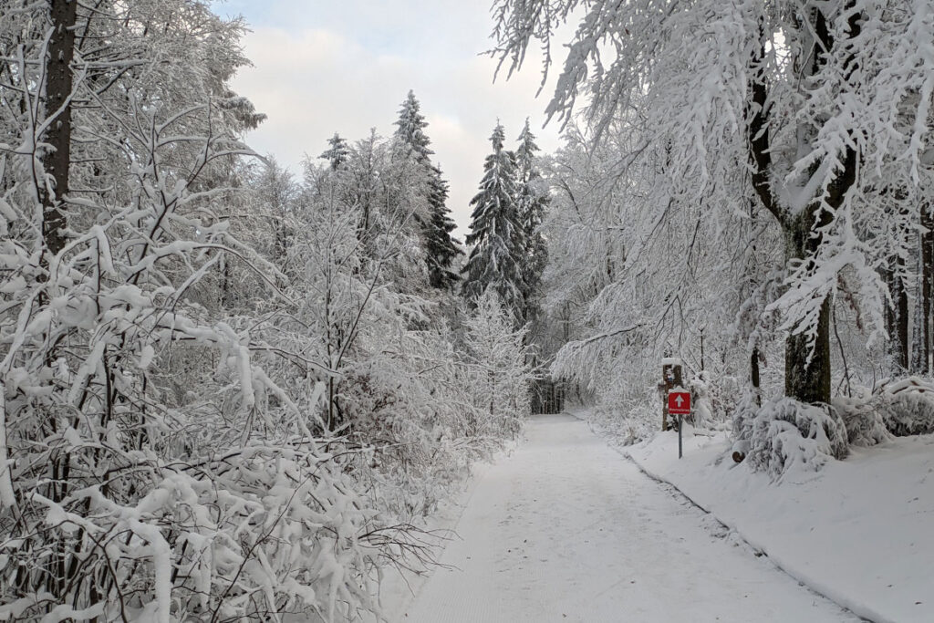 winterwanderweg-schwarze-berge