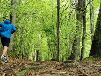 trailrunning-rhoen