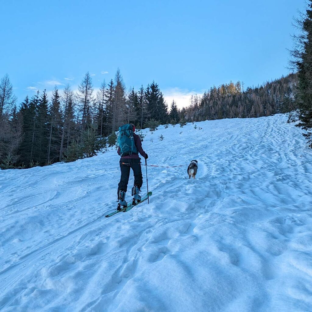 skitour-mit-hund