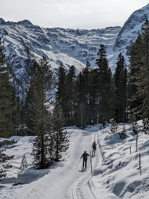 langlaufen-gletscher-sellrain