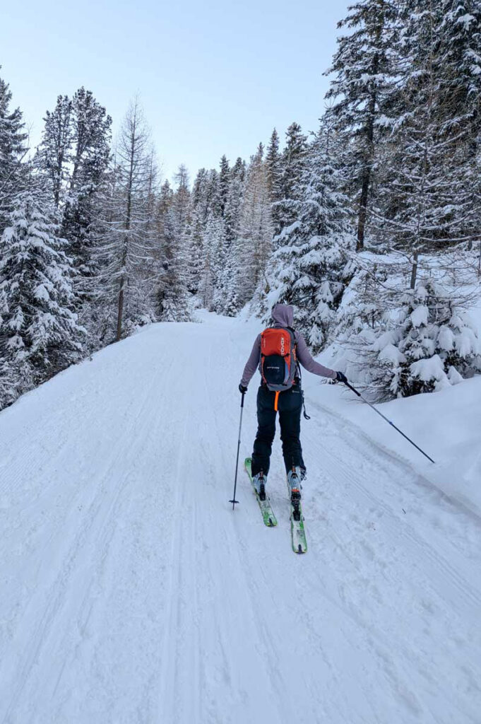 rodelbahn-feldringalm