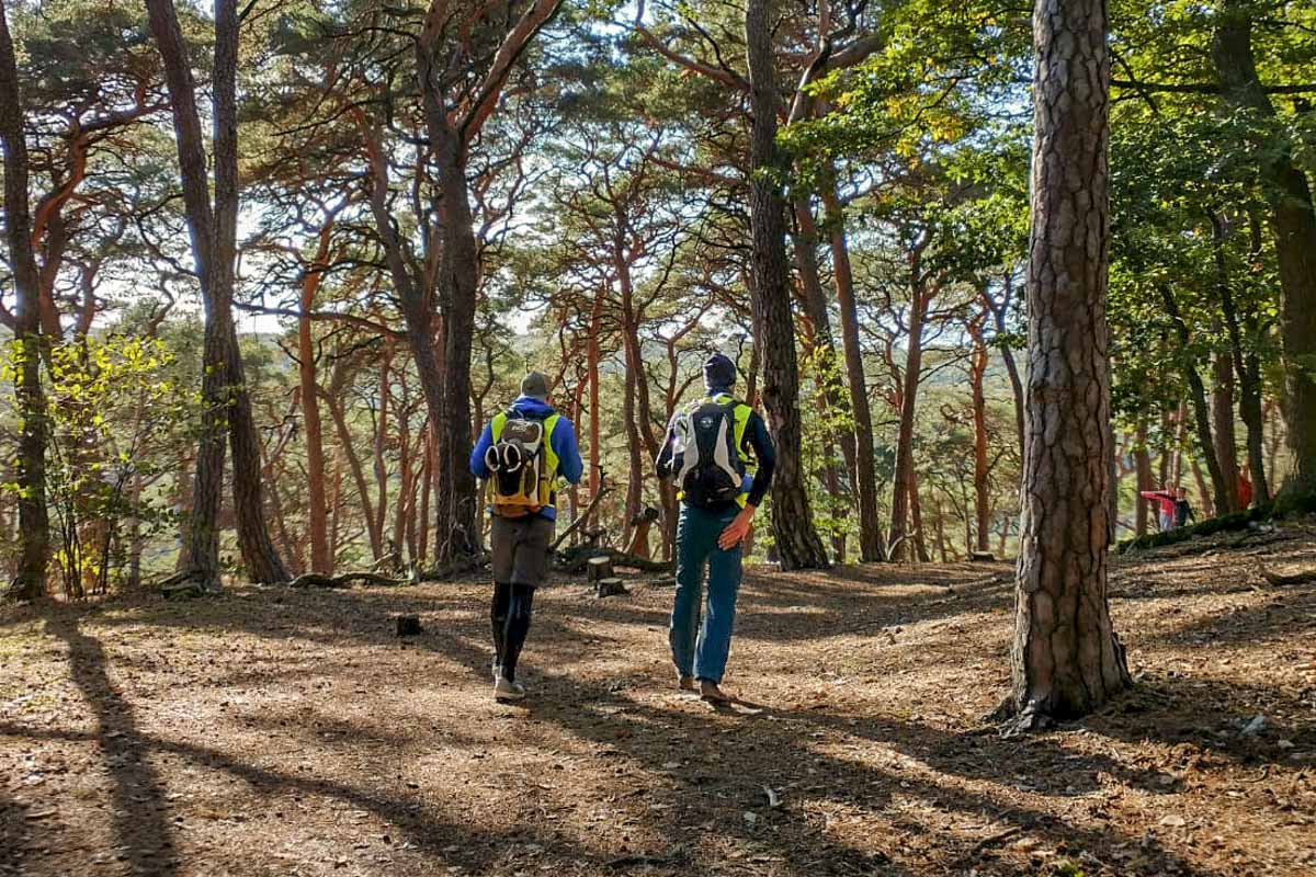 Megamarsch: Erfahrungen, Tipps und die perfekte Packliste für 100 Kilometer